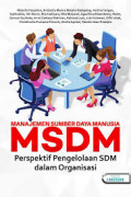 Manajemen Sumber daya manusia MSDM : perspektif pengelolaan SDM dalam organisasi